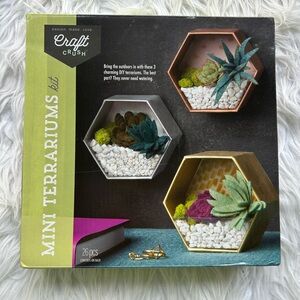 Mini Terrariums Kit